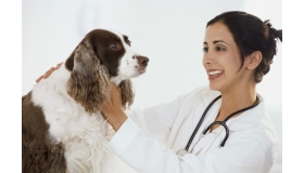 Dịch vụ khám bệnh chăm sóc thú y tại nhà